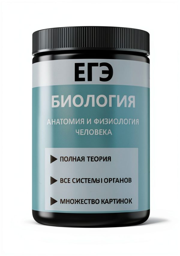 LitRes Russian Study Guide Kindle Edition 139‑Page Test Preparation-0