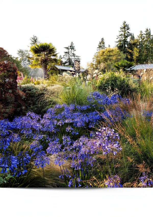 Timber Press Garden Pictorial eBook Kindle 2020 – 280‑Page Plant Guide-0