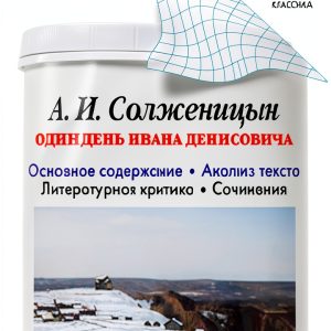 Russian Study Aids & Revision Guides by LitRes-0