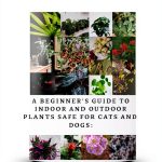 Gardening Illustrated eBook Perennial Guide by GreenThumb Press-0