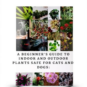 Gardening Illustrated eBook Perennial Guide by GreenThumb Press-0