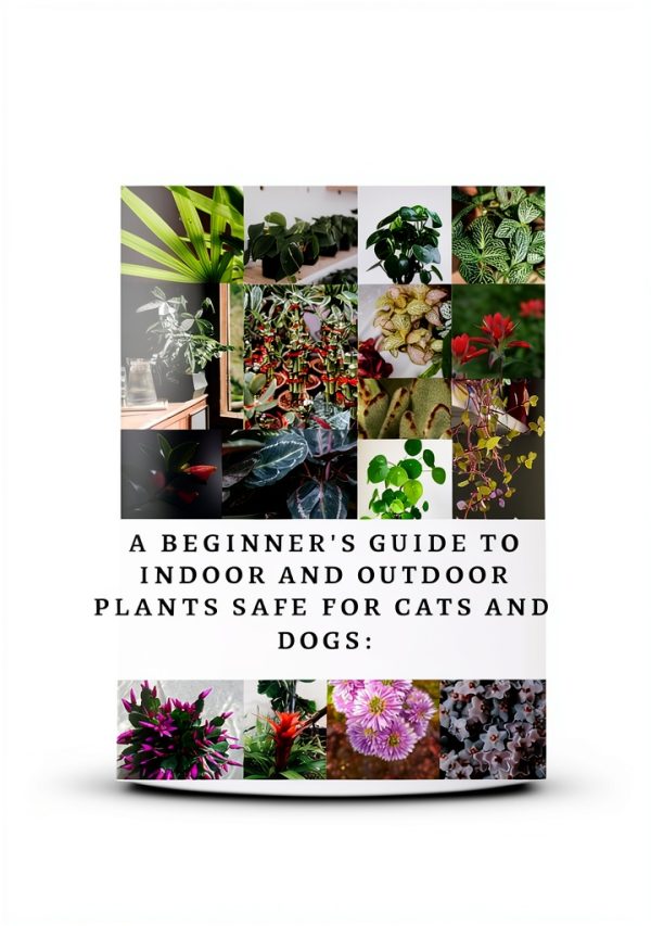 Gardening Illustrated eBook Perennial Guide by GreenThumb Press-0