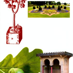 Gardening eBook by Ebury Digital Illustrated Guide 272 Pages Kindle-0