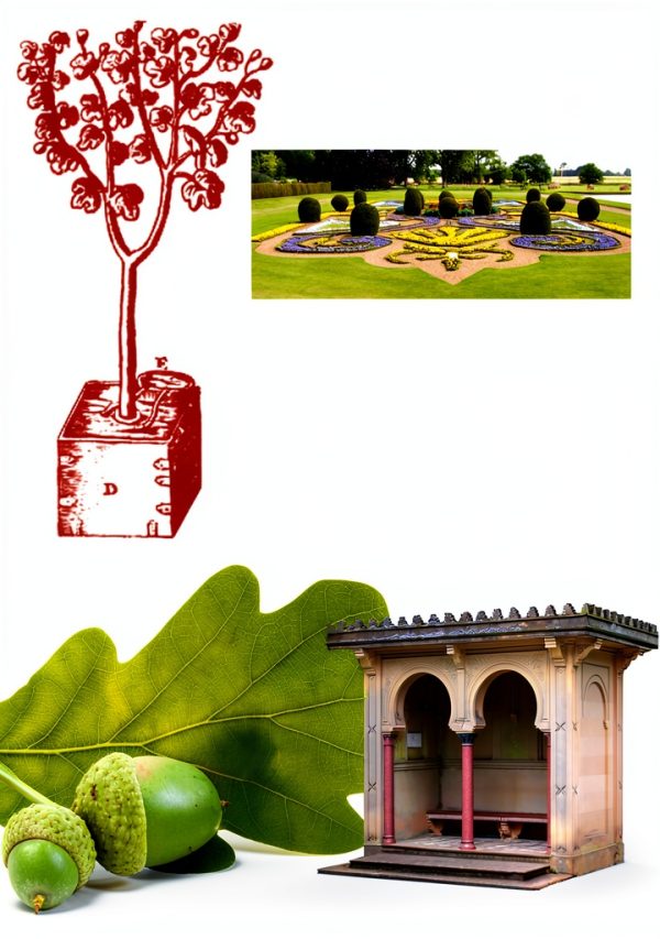 Gardening eBook by Ebury Digital Illustrated Guide 272 Pages Kindle-0