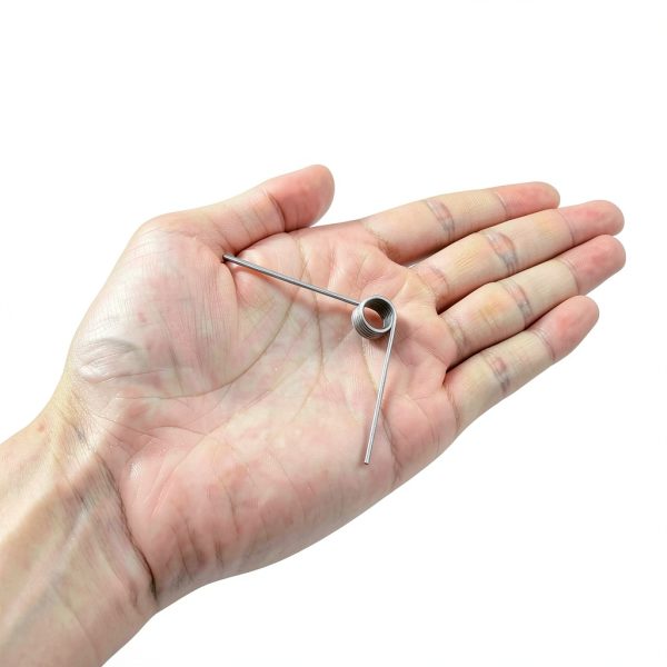 Stainless Steel Torsion Spring DGHAOP 10pcs for Tools DIY-2