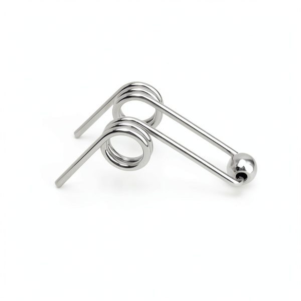Marsrut (4PCS) Double Return Torsion Springs for Curling Iron Rod - Part Replacement Accessories for Hair Rollers (Length: 24mm; Wire Diameter: 1.0mm), Silver-5