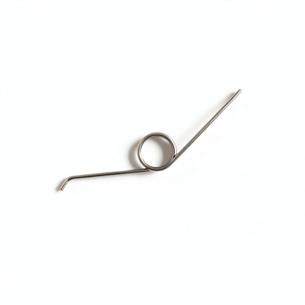 DHAEY 10pcs/Lot Garbage Can Adjustable 3 Coils Stainless Steel 304 Torsion Spring-1