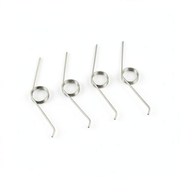 DHAEY 10pcs/Lot Garbage Can Adjustable 3 Coils Stainless Steel 304 Torsion Spring-0